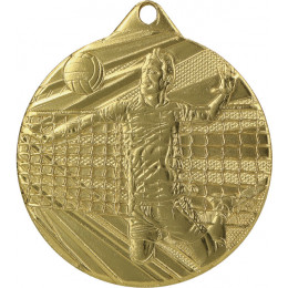 Медаль Волейбол ME008/G (50) G-2мм